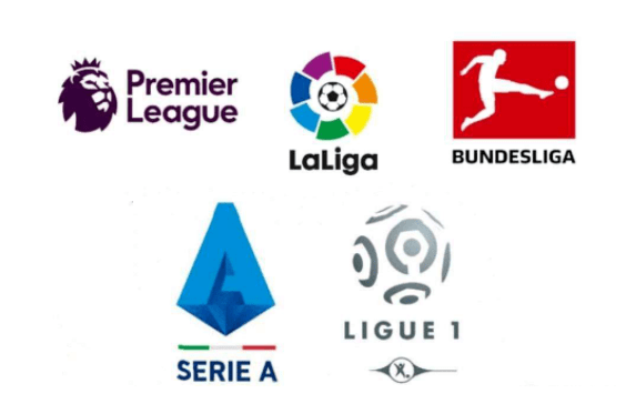 球队管理层 球队管理层